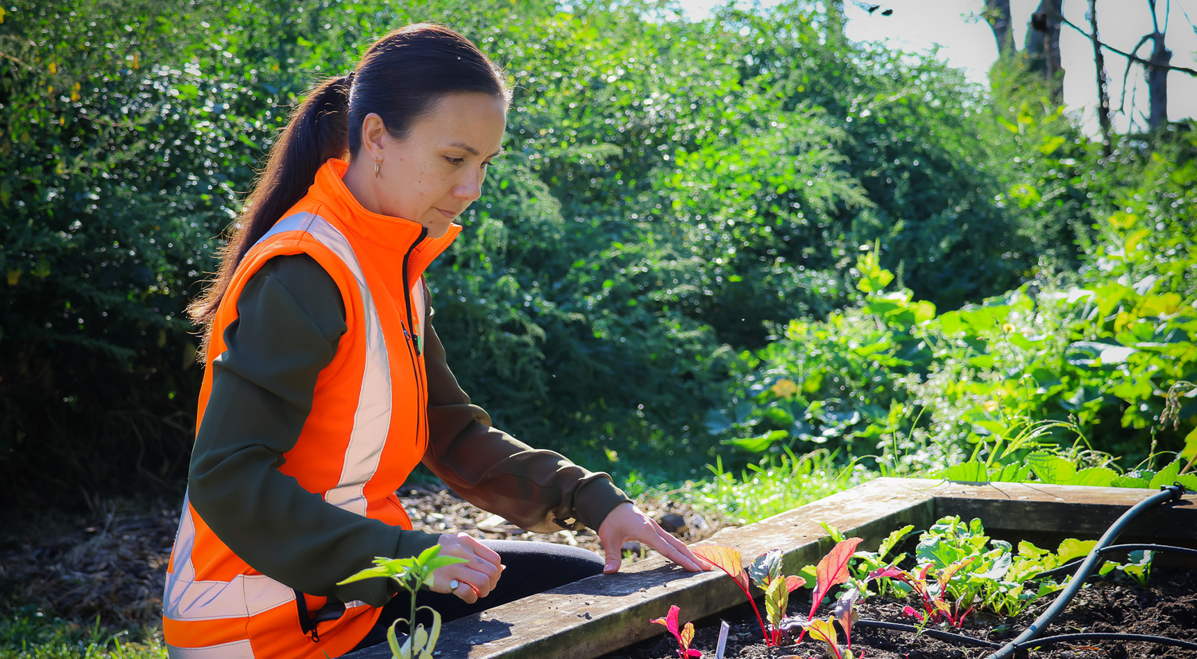 Our Sustainable Kaupapa