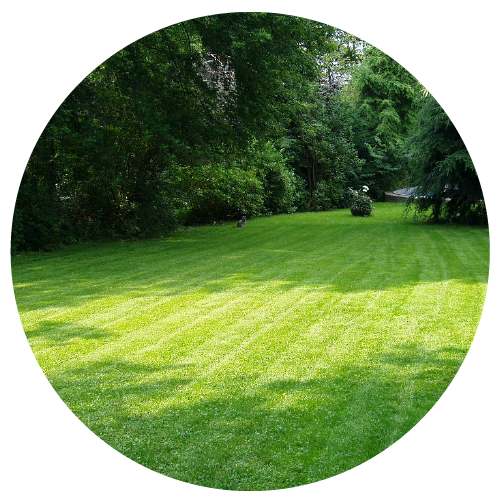 Ultra Lawn